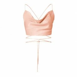 Lucia Interface Tan Top By Aggi